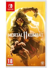 Mortal Kombat 11 (английская версия) (Nintendo Switch)
