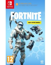 Fortnite. Комплект «Вечная мерзлота» (код для скачивания) (Nintendo Switch)