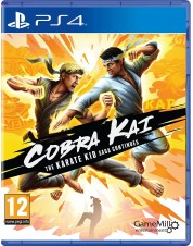 Cobra Kai: The Karate Kid Saga Continues (английская версия) (PS4)