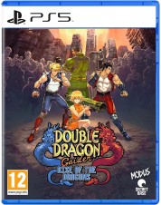 Double Dragon Gaiden: Rise of the Dragons (английская версия) (PS5)