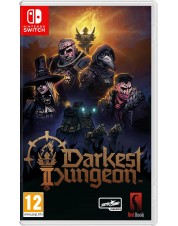 Darkest Dungeon II (русские субтитры) (Nintendo Switch)