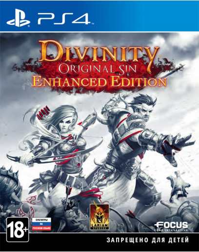 Divinity: Original Sin. Enhanced Edition (PS4) 